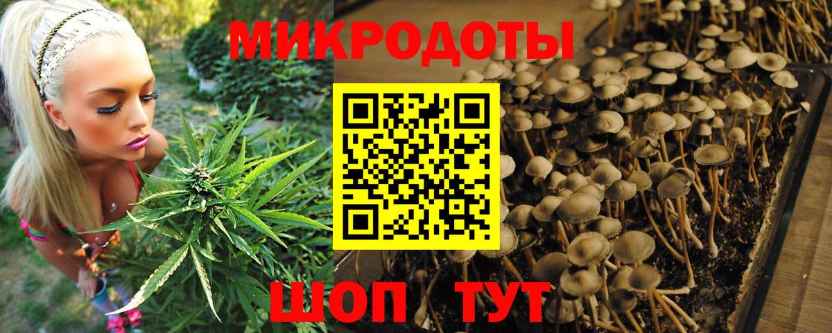 Псилоцибиновые грибы GOLDEN TEACHER  Вход с VPN  Муром  Псилоцибиновые грибы Psilocybine cubensis 