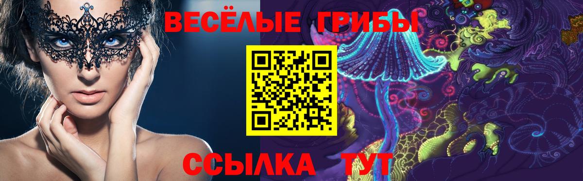 Галлюциногенные грибы GOLDEN TEACHER Муром